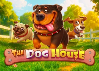 สล็อต789 The Dog House ทดลองเล่นฟรี